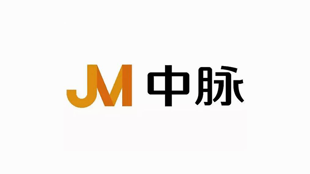 南京中脈科技公司品牌VI及l(fā)ogo設計